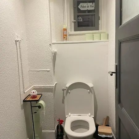 Daire 70m2 Dans Maison Avec Jardin Bischheim