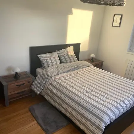 アパート 70m2 Dans Maison Avec Jardin ビシュハイム